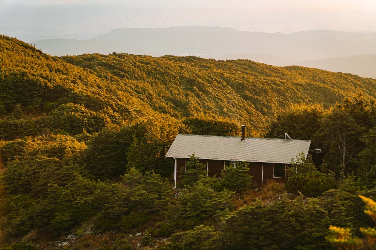 A backcountry hut on a bush-covered ridge at sunset in the North Island ranges